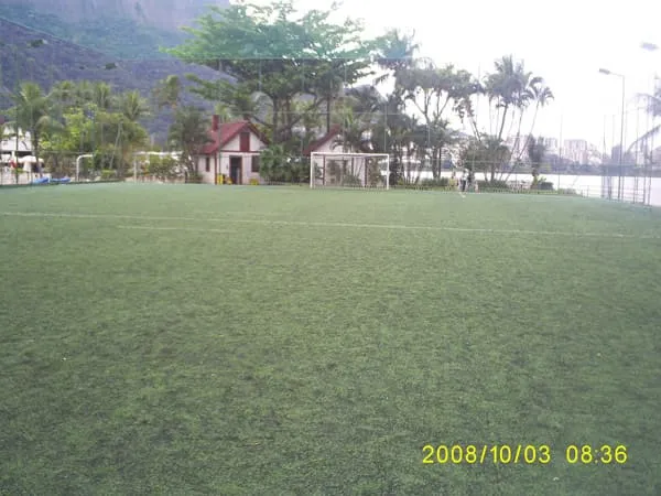 Imagem de Grama Sintética 01