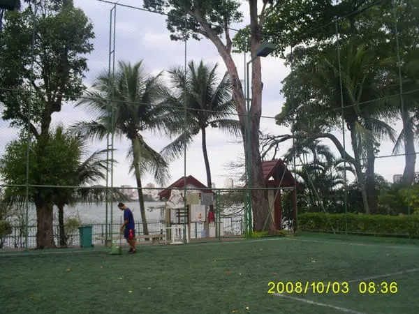 Imagem de Grama Sintética 04