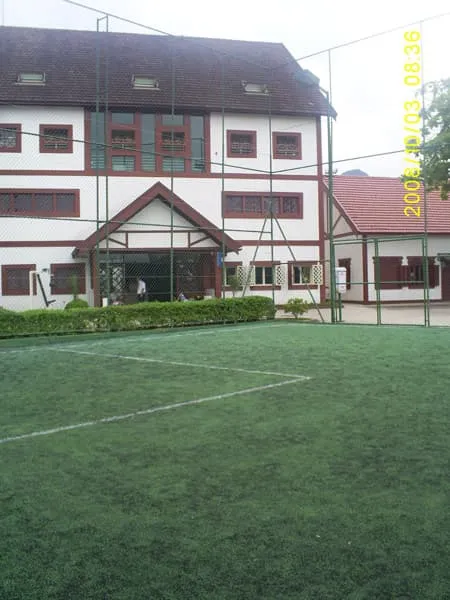 Imagem de Grama Sintética 05