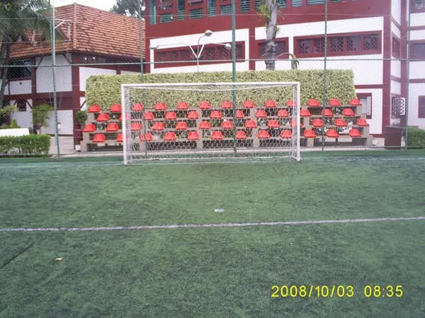 Imagem de Grama Sintética 06