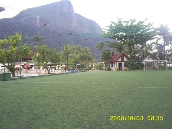 Imagem de Grama Sintética 07