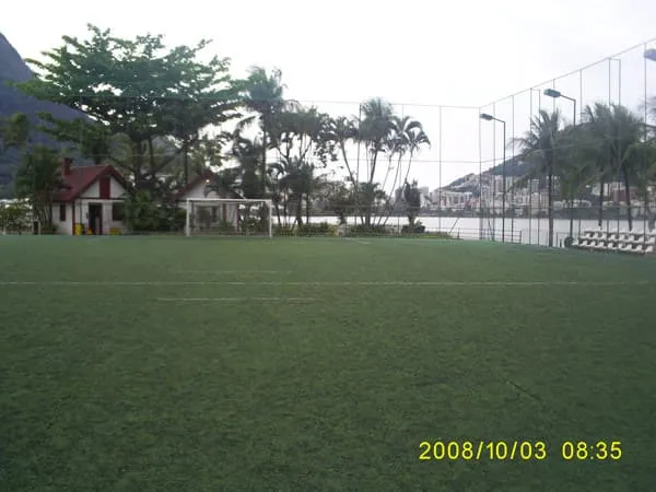 Imagem de Grama Sintética 08