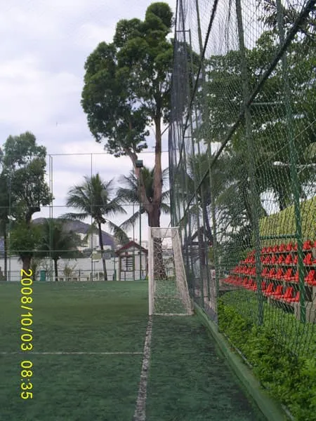 Imagem de Grama Sintética 10