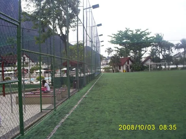 Imagem de Grama Sintética 11