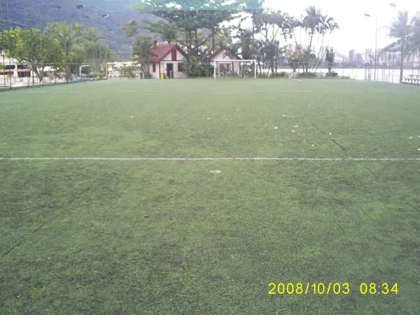 Imagem de Grama Sintética 14