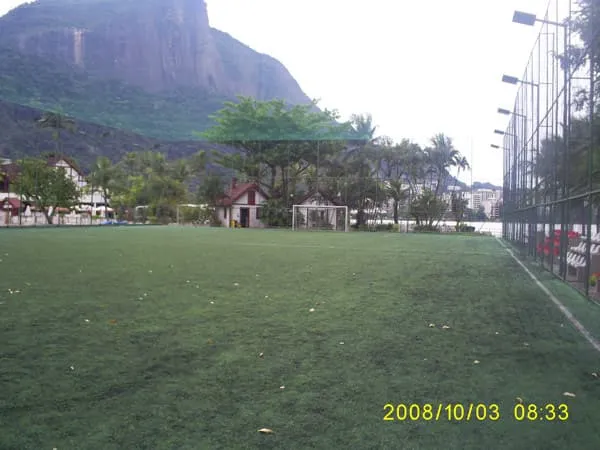 Imagem de Grama Sintética 16