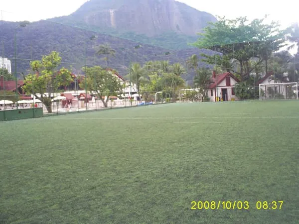 Imagem de Grama Sintética 10