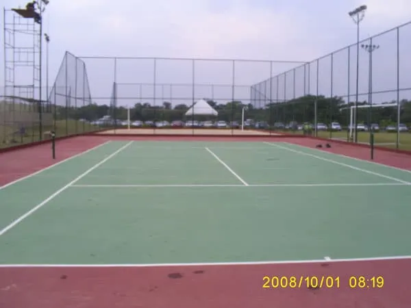 Imagem de Piso Asfáltico 65