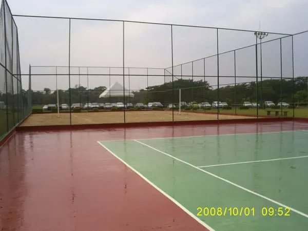 Imagem de Piso Asfáltico 67