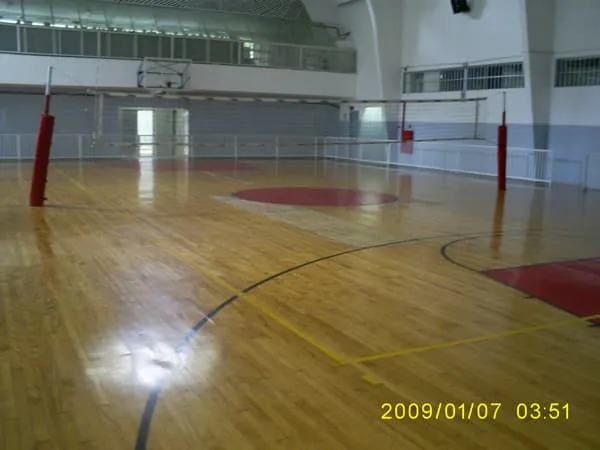 Imagem de Piso de Madeira 01