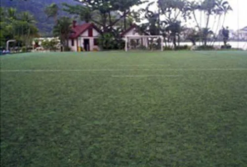 Campo de Grama Sintética